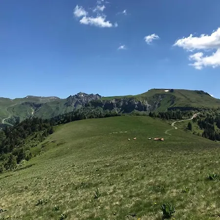 Avec Balcon Et Ascenseur - 200m Du Centre - Fr-1-608-137