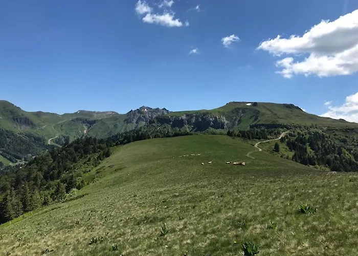 Avec Balcon Au Dore, Pour 4 Personnes - Fr-1-608-137